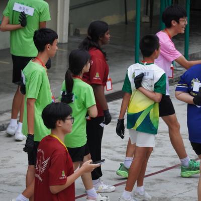 Lingxiu 16