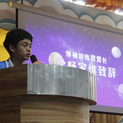 Lingxiu 9