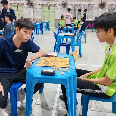 Xiangqi 14
