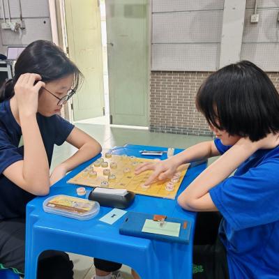 Xiangqi 24